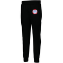 Men's PERFORMANCE FLEECE JOGGER